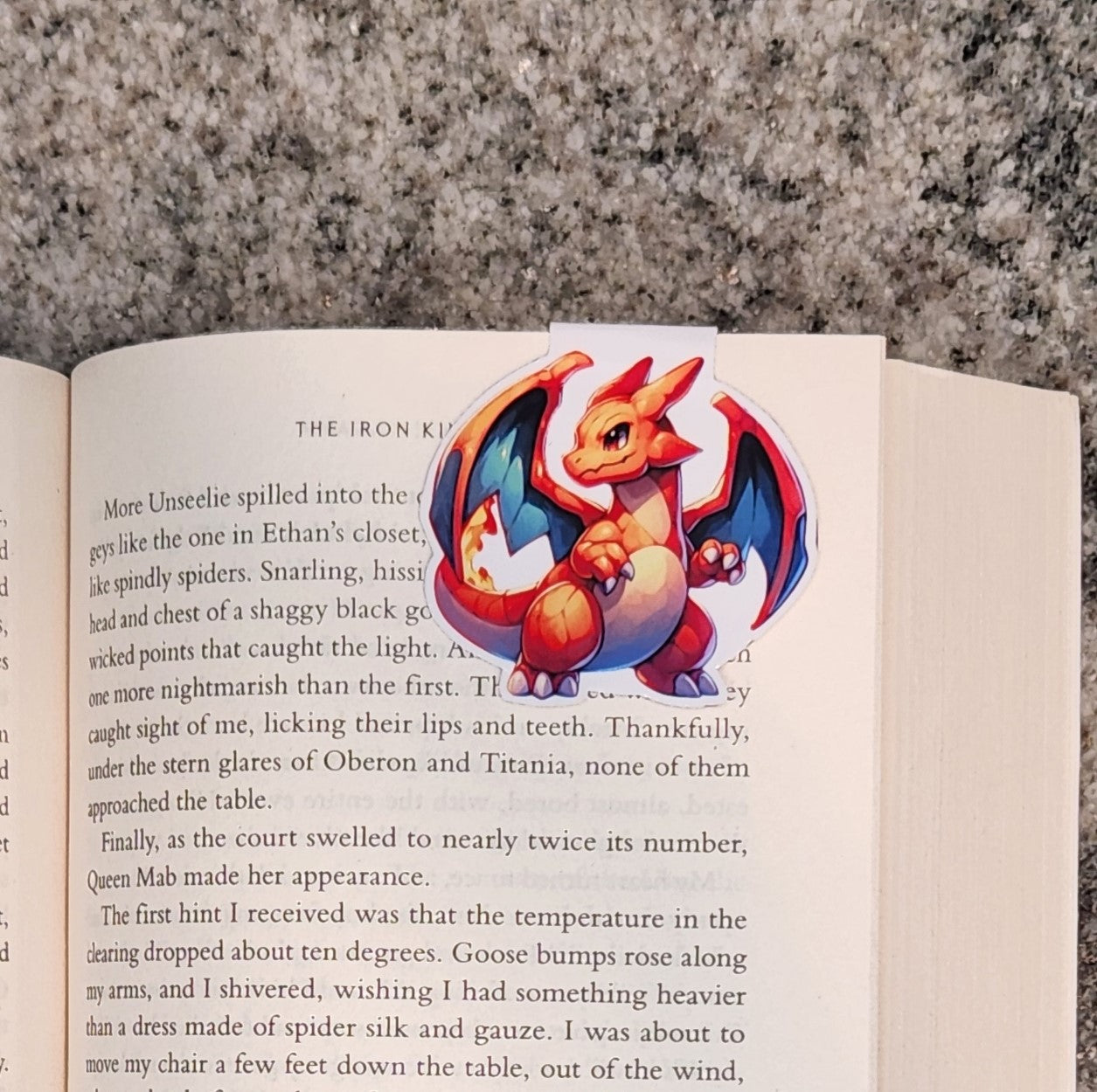 Charizard, Pokemon, Magnetic Bookmark