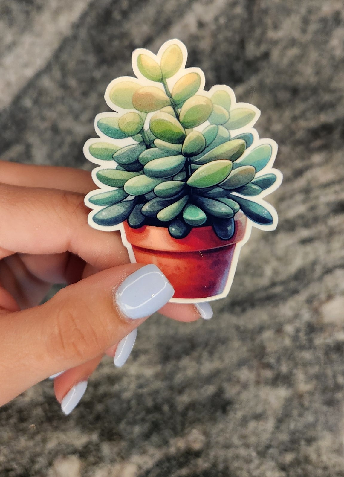 Jade Plant, WATERPROOF VINYL STICKER