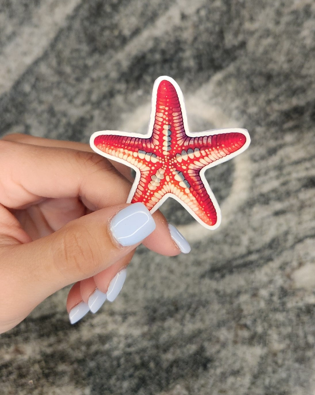 Starfish, WATERPROOF VINYL STICKER