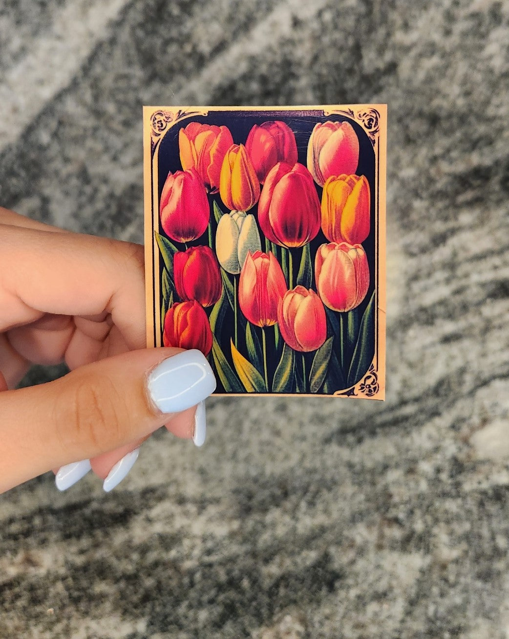 Tulips Seed Packet, WATERPROOF VINYL STICKER