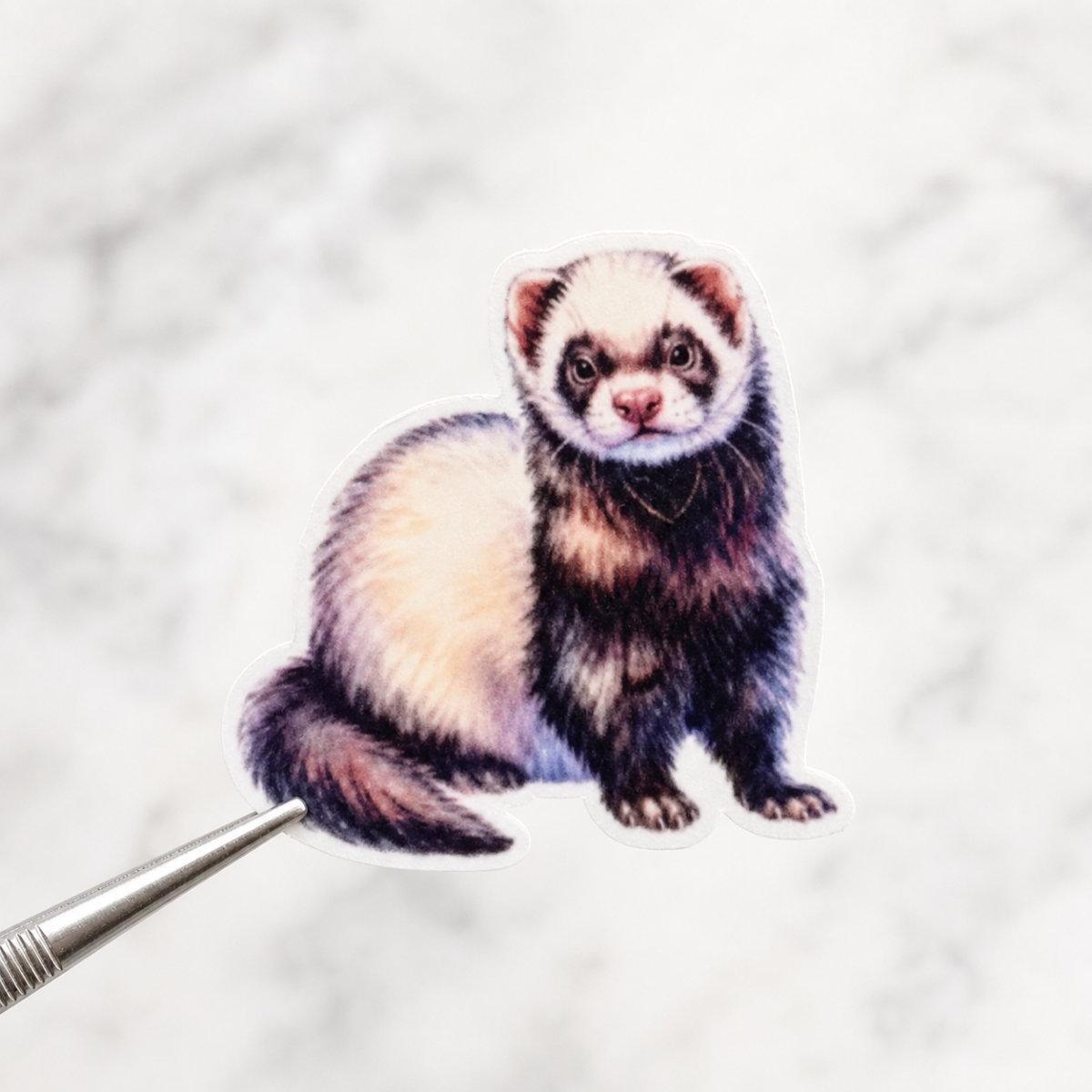 Ferret — Waterproof Vinyl Sticker
