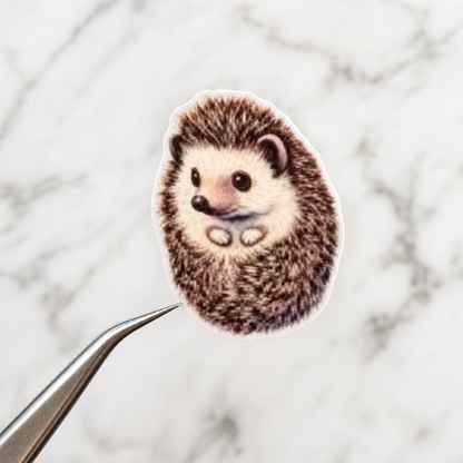 Hedgehog — Waterproof Vinyl Sticker